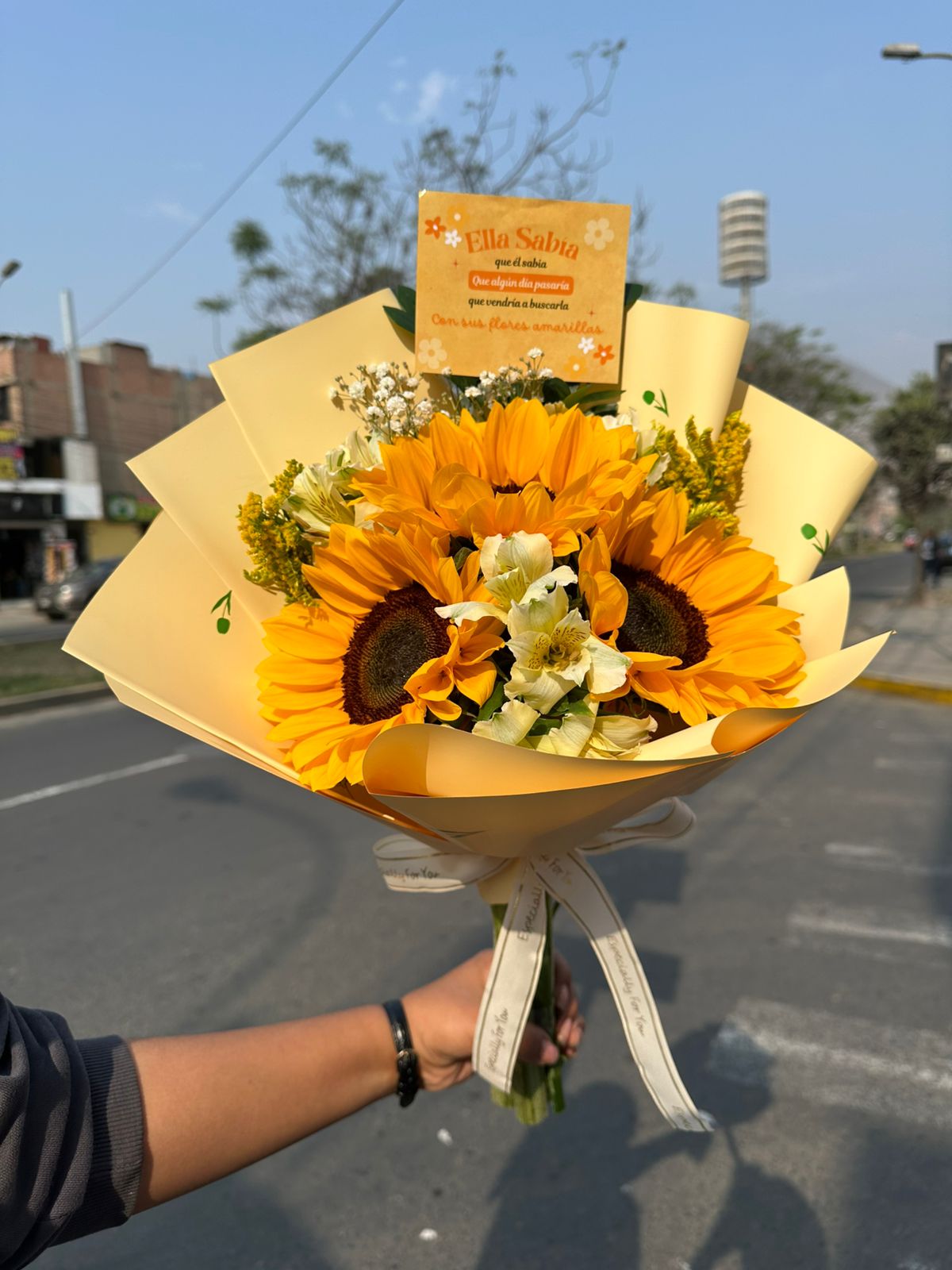 Ramo Primavera  Bonita