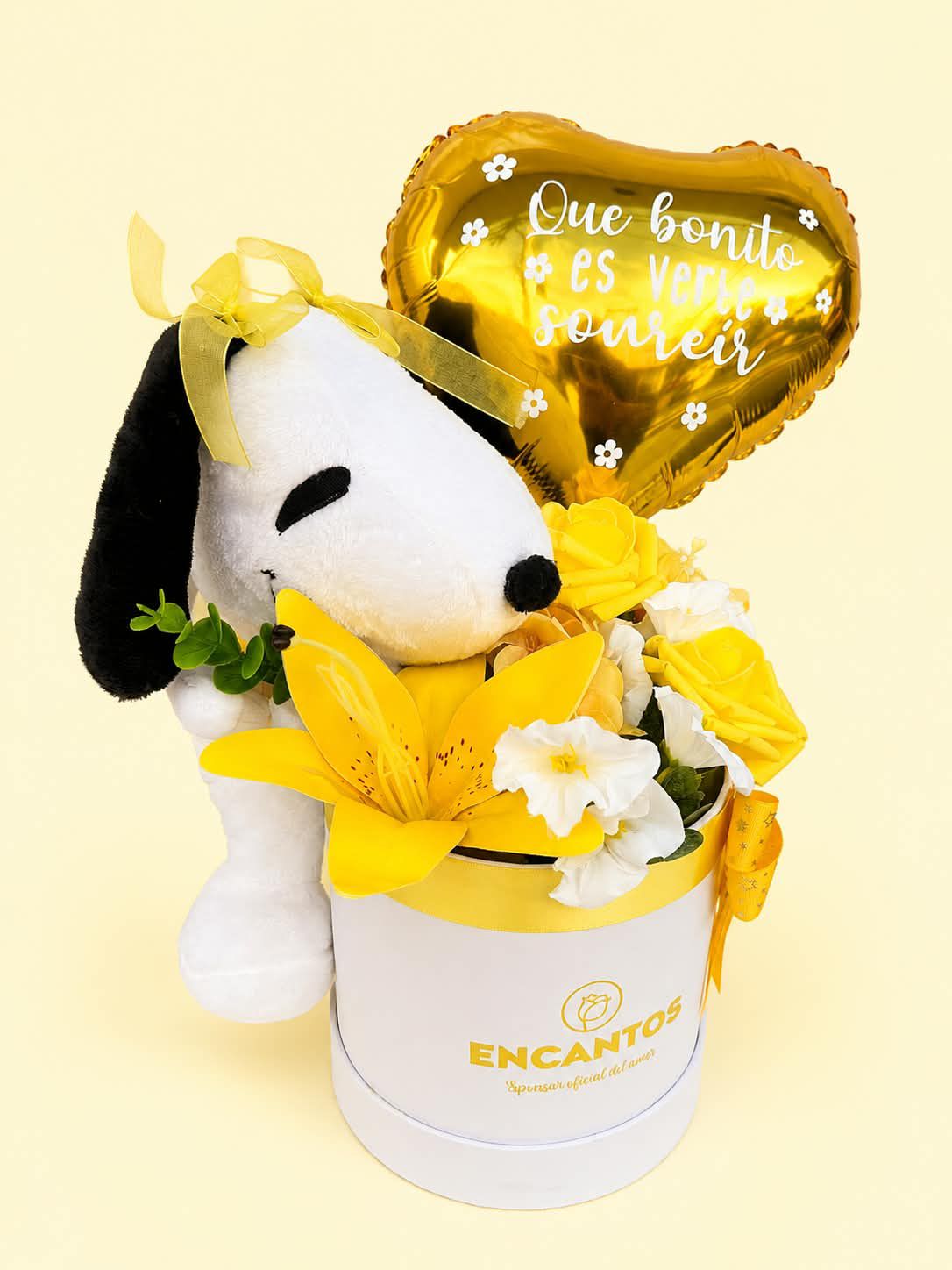 Box Snoopy Eternal