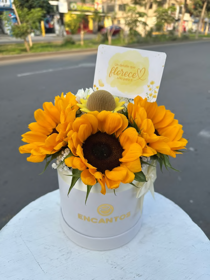 Box Anillo Girasol