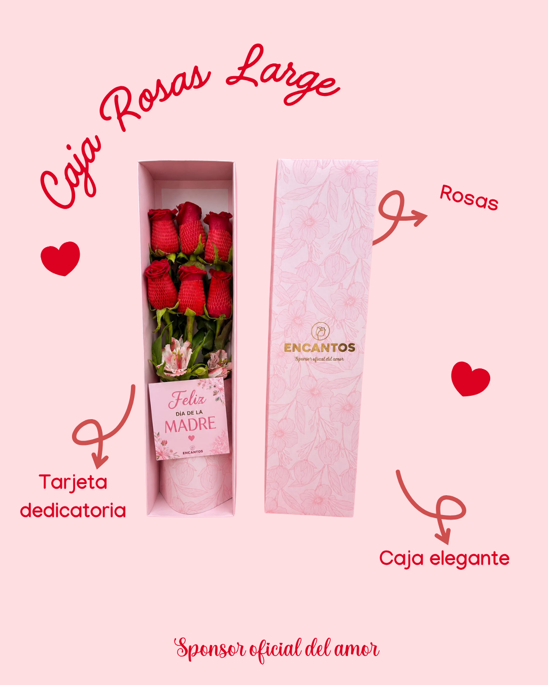 Caja Rosas Large
