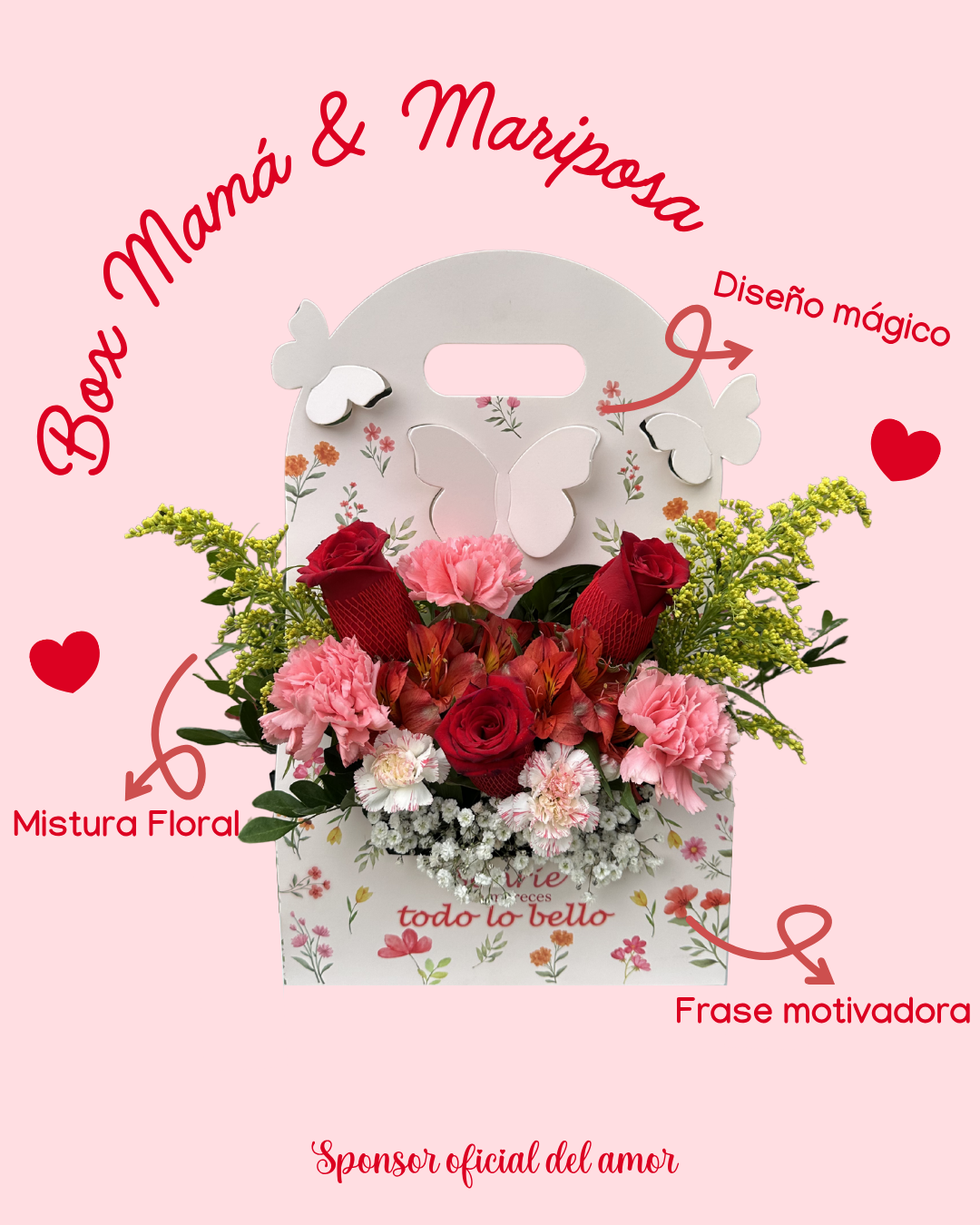 Box Mamá & Mariposa