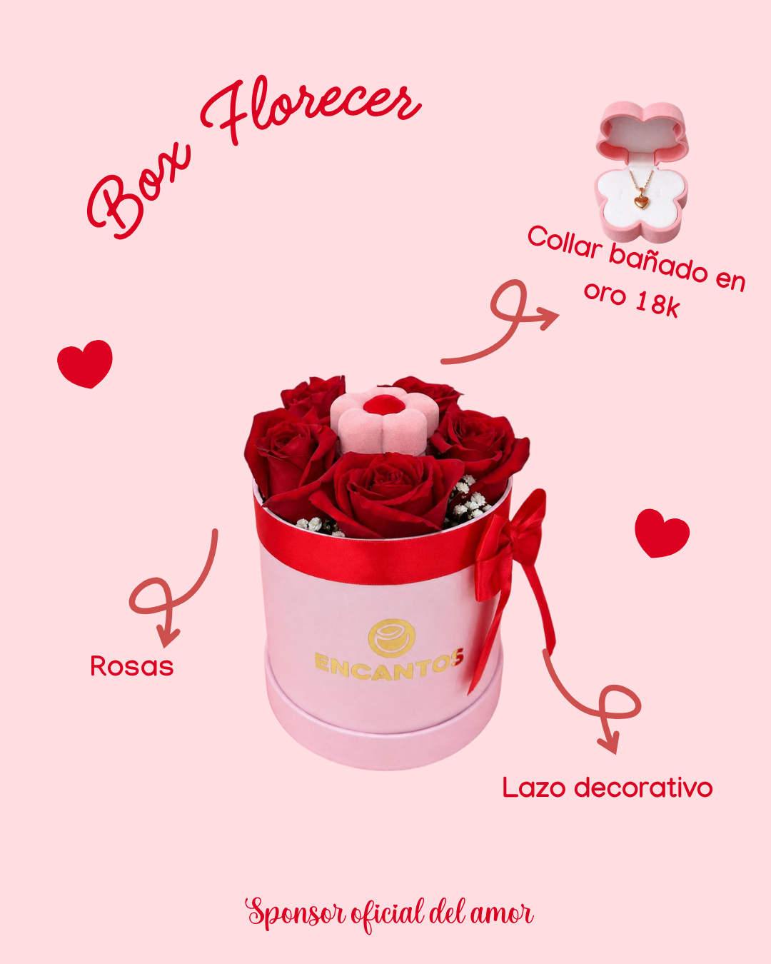 Box Florecer 
